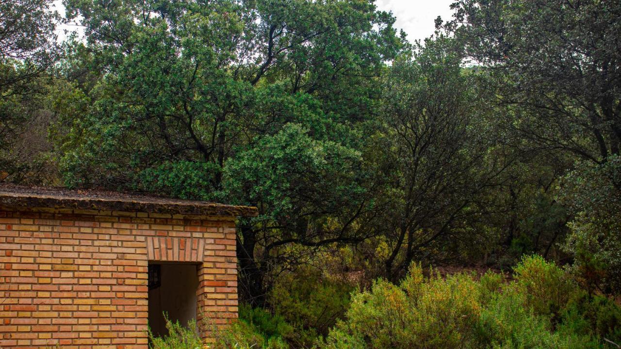 Casa Rural Valle De Los Molinos Кристо-дель-Эспириту-Санто Экстерьер фото